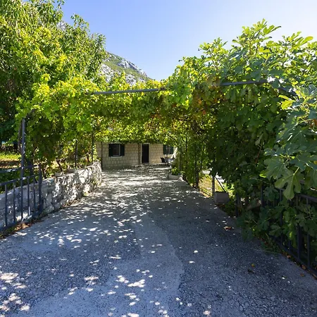 Family House