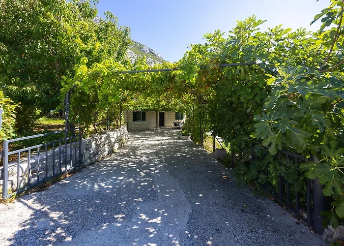 Family House
